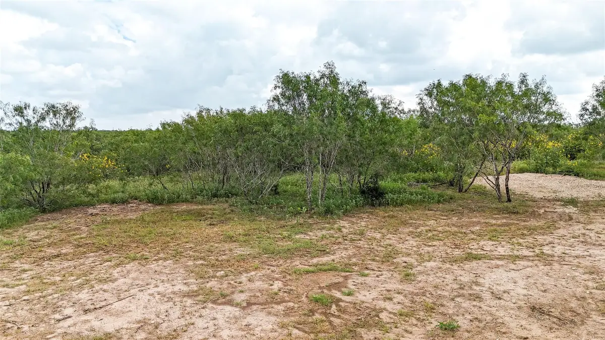4013 Old Colony Line Rd, Dale, TX 78616 - #1