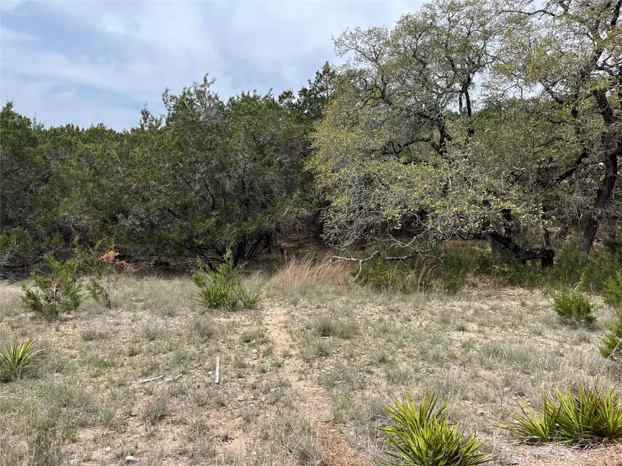 20715 Harrison Cv, Lago Vista, TX 78645 - #3