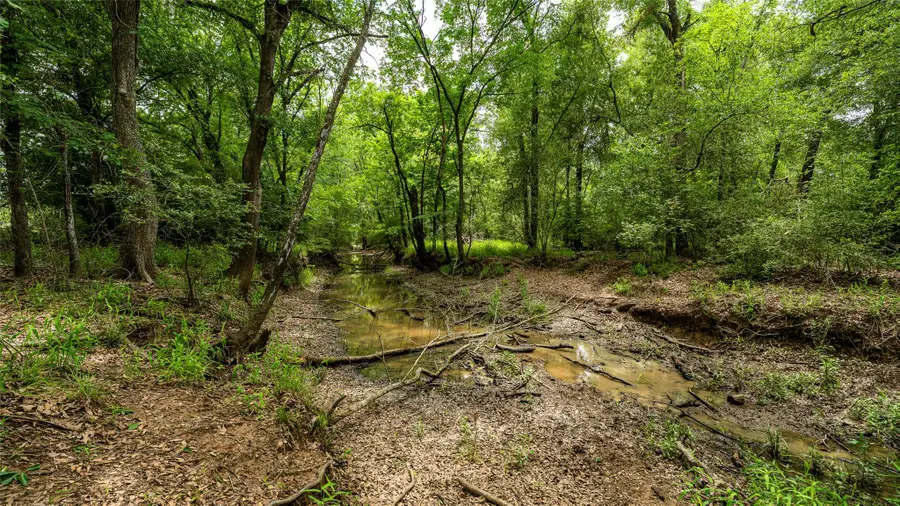 ESMT County Road 302, Rockdale, TX 78947 - #3