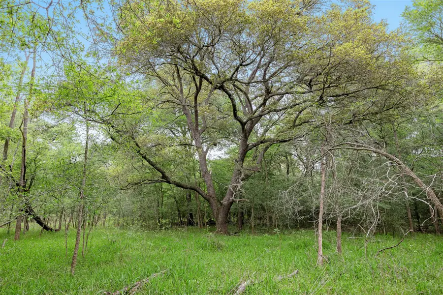 TBD (+/- 25 Acres) County Road 433, Dime Box, TX 77853 - Image #2