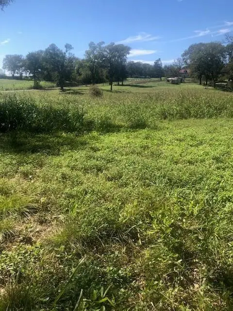 TBD S Jefferson, Cameron, TX 76520 - #2