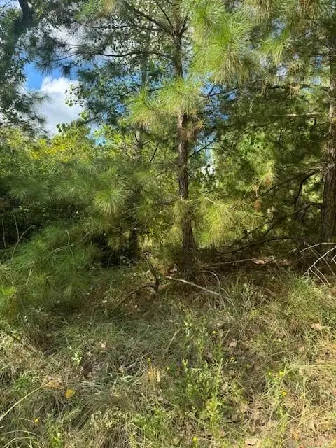 #2