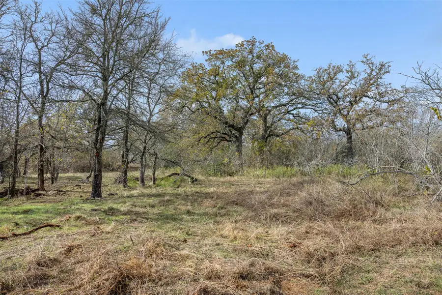 1088 Bugtussle Ln, Luling, TX 78648 - Image #3