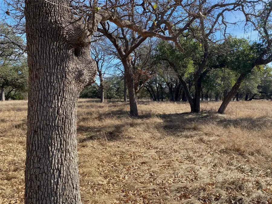 TBD Lightning Ranch Pt, Georgetown, TX 78628 - Image #3