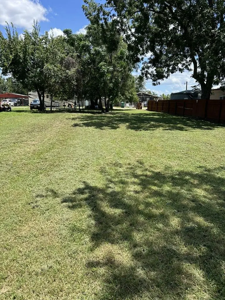 704 Hill St, Smithville, TX 78957 - #3