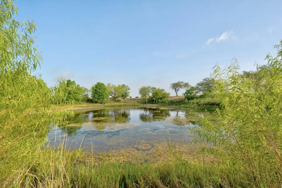 14512 Graef Rd, Creedmoor, TX 78610 - #3