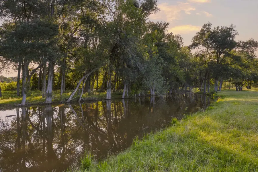 3063 County Road 484, Elgin, TX 78621 - #2