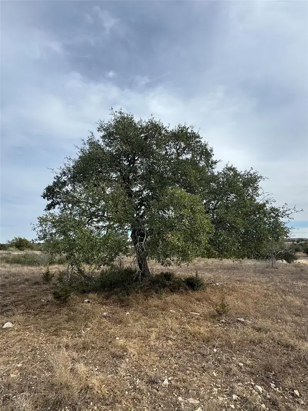 116 Legacy Hills Dr, Johnson City, TX 78636