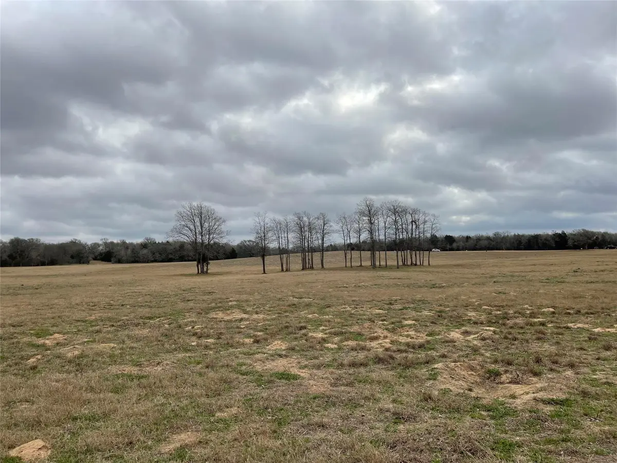 1498 Walleye Creek Ln, Lexington, TX 78947 - #1