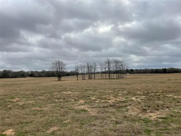 1498 Walleye Creek Ln, Lexington, TX 78947