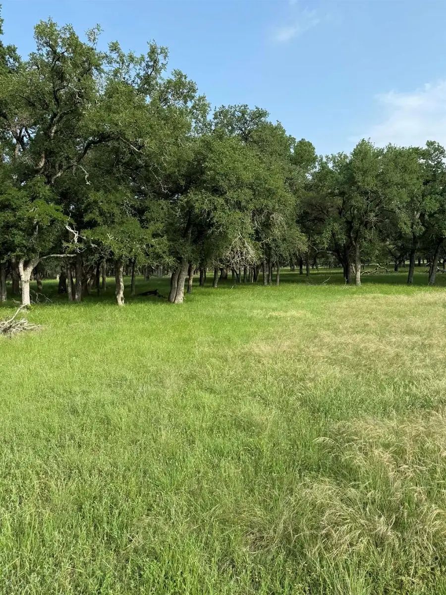 2251 County Road 234 Ln, Georgetown, TX 78633 - #2