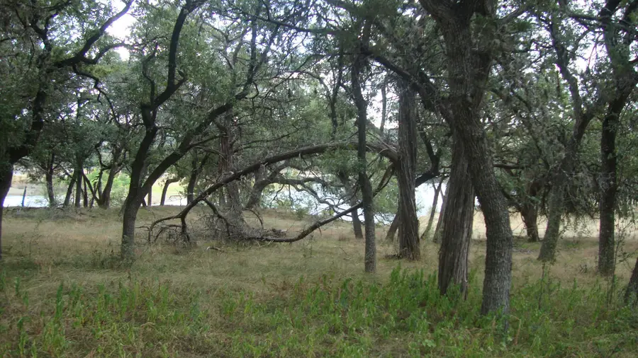 6703 Bar K Ranch Rd, Lago Vista, TX 78645 - #3