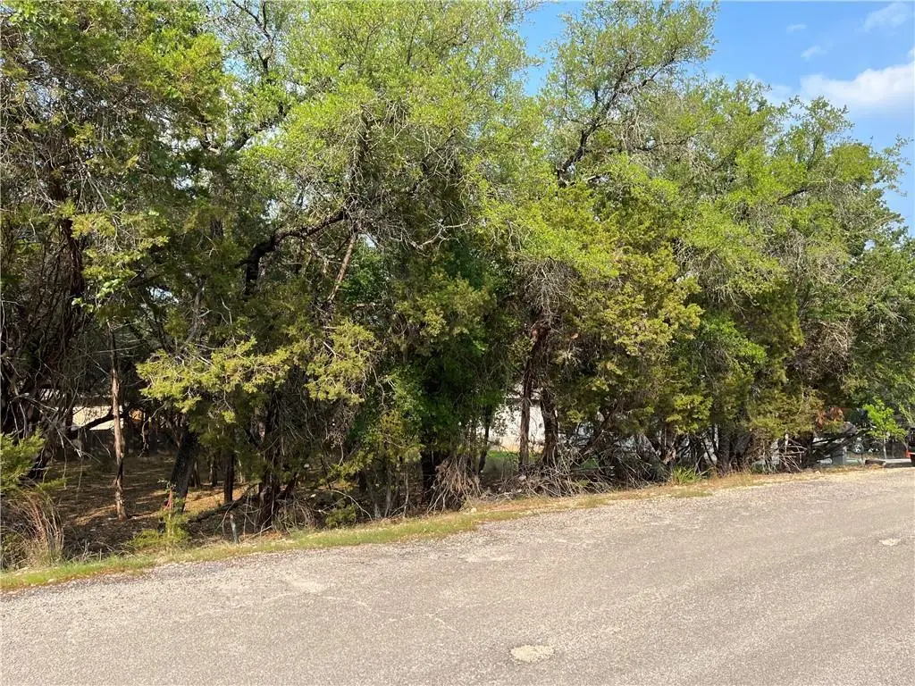 21212 Santa Rosa Ave, Lago Vista, TX 78645 - #1