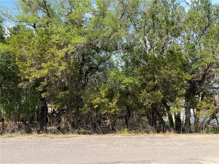21212 Santa Rosa Ave, Lago Vista, TX 78645 - #2