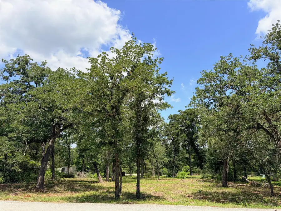 000 Shawnee/arapaho/mohawk Drs, Smithville, TX 78957 - #2