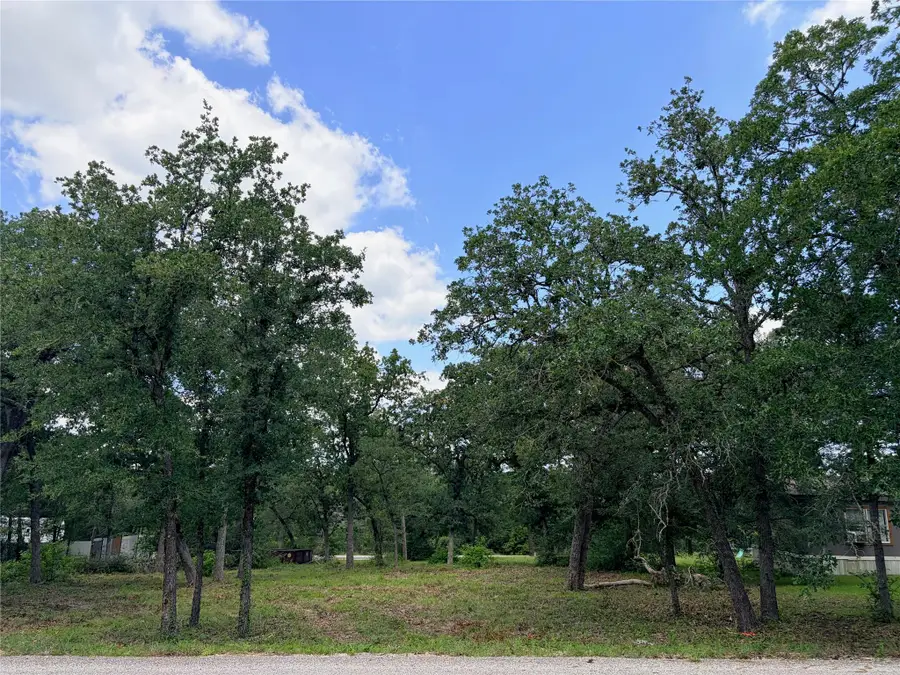000 Shawnee/arapaho/mohawk Drs, Smithville, TX 78957 - #3