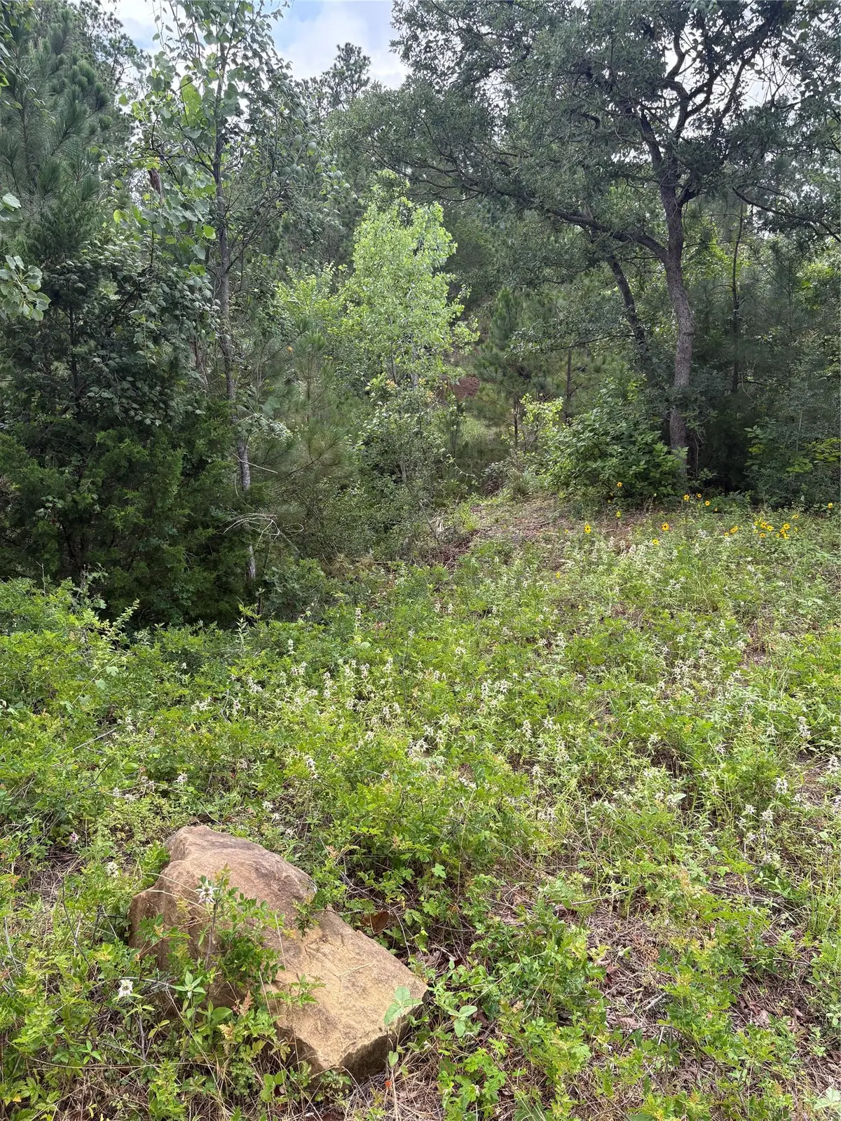 TBD Kaena Ln, Bastrop, TX 78602 - #1