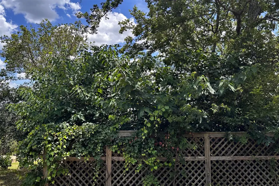 14609 Great Eagle Trl, Austin, TX 78734 - #3