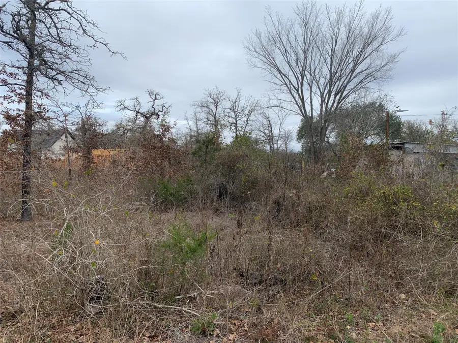 TBD Chickasaw, Smithville, TX 78957 - Image #3