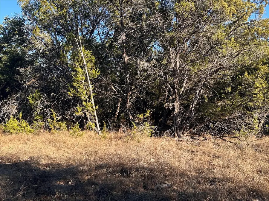 39 Persimmon Dr, Wimberley, TX 78676 - Image #2