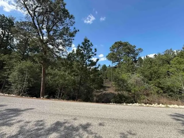 Lot 1198 Wahane Ln, Bastrop, TX 78602 - #2