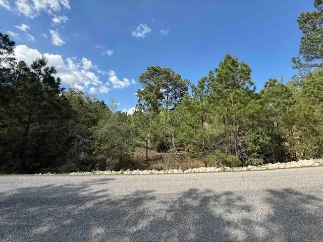Lot 1198 Wahane Ln, Bastrop, TX 78602 - #3