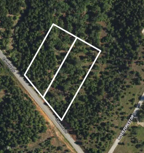 TBD - Lots 2 & 3 Colovista Dr, Bastrop, TX 78602 - #1