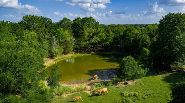 TBD Fm 2104, Smithville, TX 78957