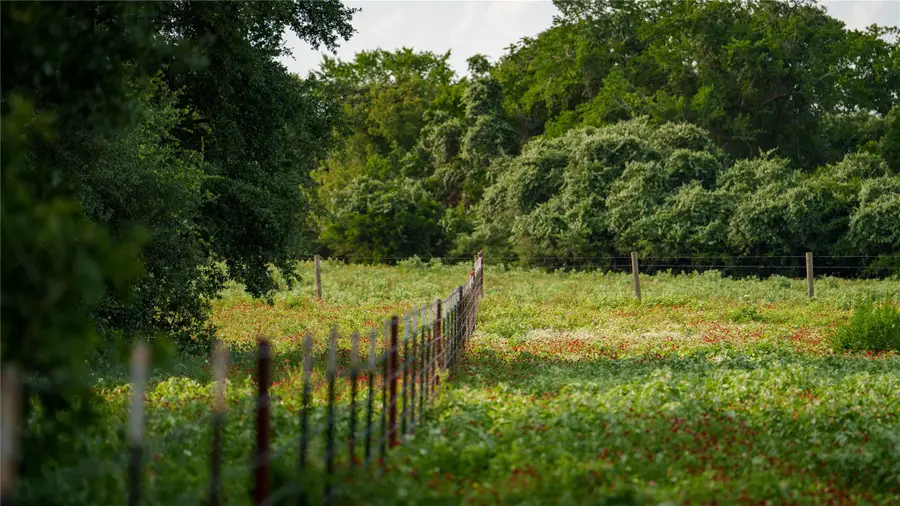 TBD Fm 2104, Smithville, TX 78957 - #3