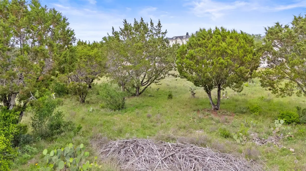 2542 Black Bear Dr, New Braunfels, TX 78132 - #1