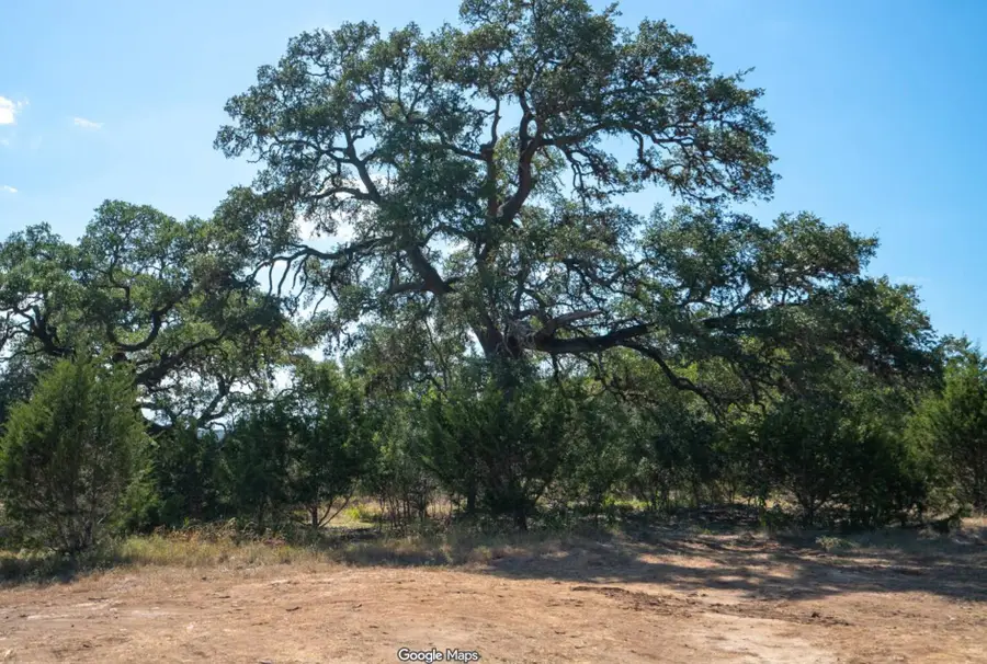221 Charro Vista Dr, Driftwood, TX 78619 - #3