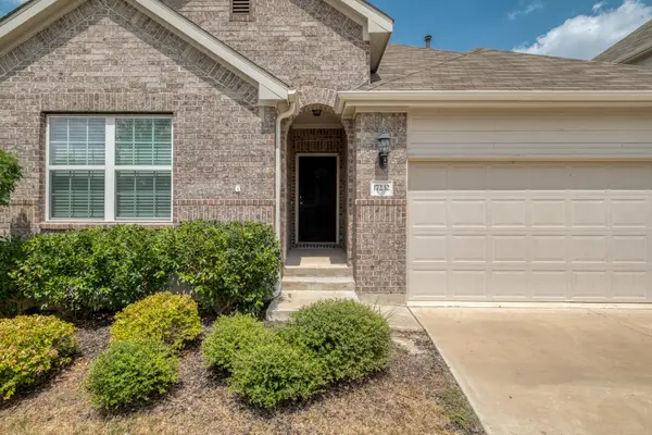 17232 Borromeo Ave, Pflugerville, TX 78660