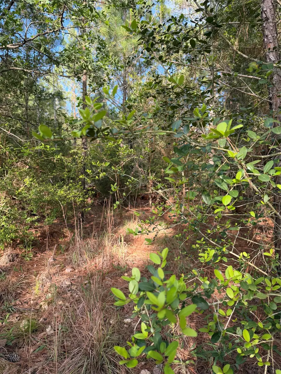 Lot 1384 Pahihi Dr, Bastrop, TX 78602 - #3
