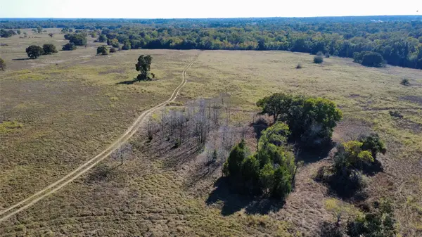 196 Brinkley Ln, Elgin, TX 78621