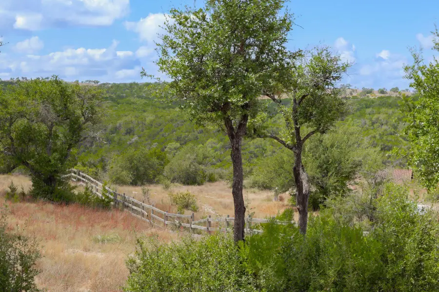 19015 Moreh Peak Pass, Austin, TX 78738 - #3