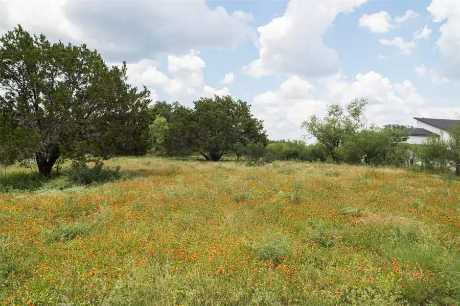 828 Wesley Ridge Dr, Spicewood, TX 78669 - #3