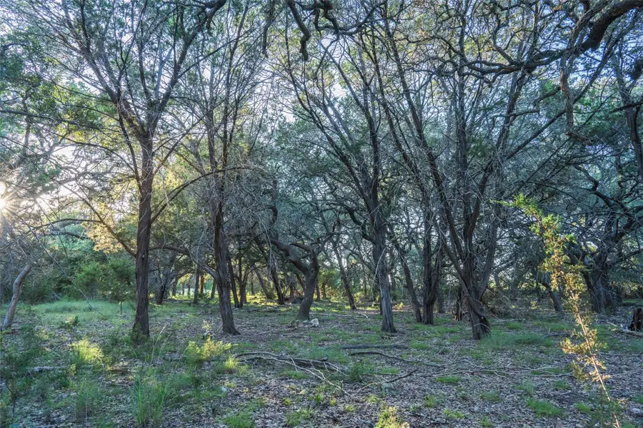 TBD Crabapple Rd, Blanco, TX 78606 - Image #2