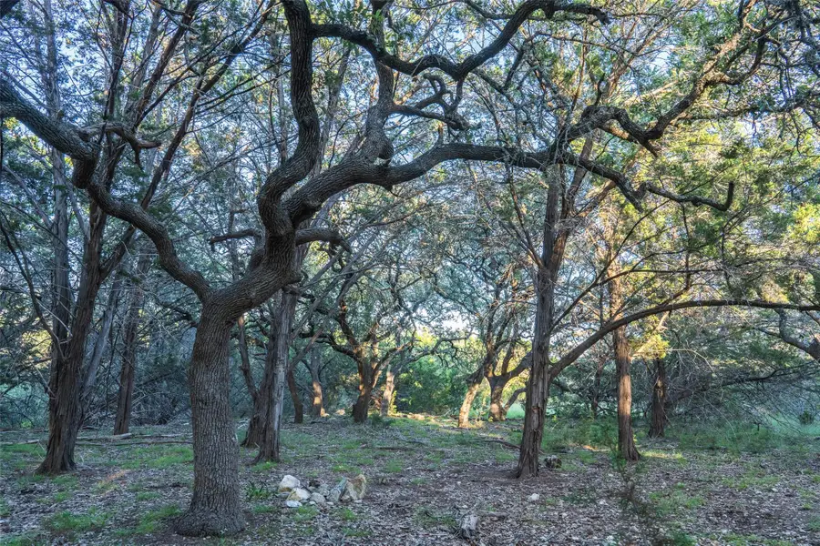 TBD Crabapple Rd, Blanco, TX 78606 - Image #3