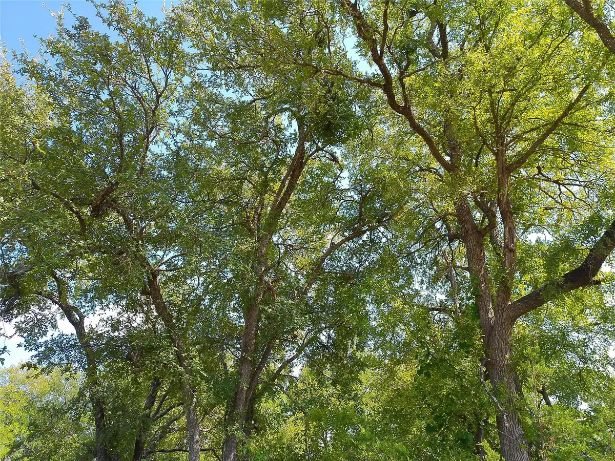 Lot 33 Serenity Dr, Bertram, TX 78605 - #1