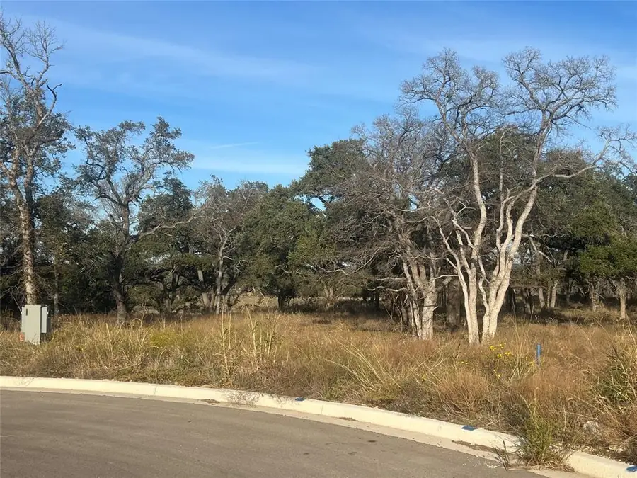 148 W Rio Ranch Rd, Liberty Hill, TX 78642 - Image #3