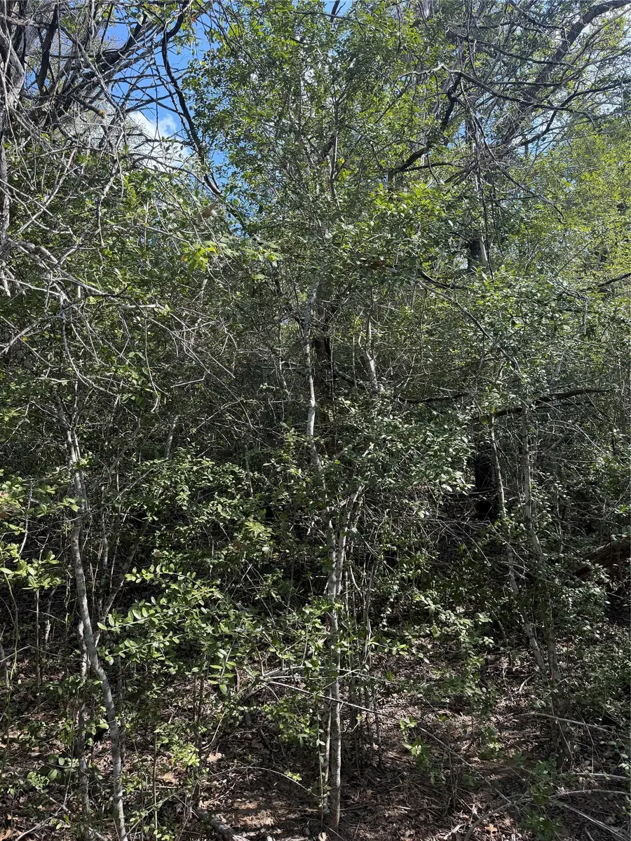 251 Iva Ln, Bastrop, TX 78602 - #2