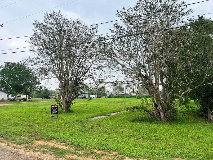 705 E 2nd Ave, Nixon, TX 78140 - #2