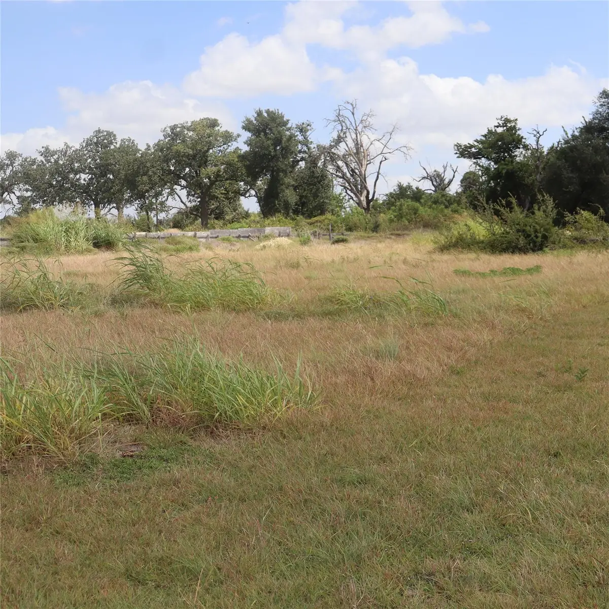 104 Mesones Rd, Florence, TX 76527 - #1