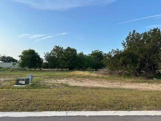 344 Joya Drive Dr, Liberty Hill, TX 78642 - #2