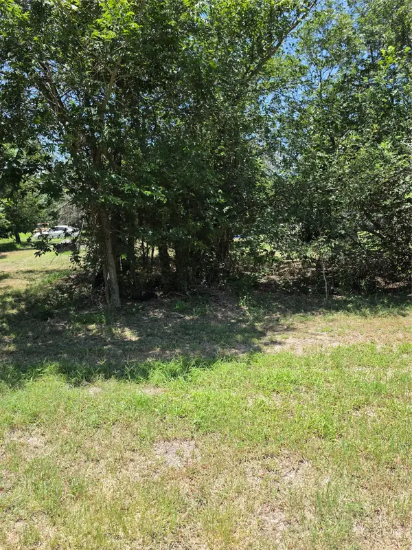 711 2nd St E, Elgin, TX 78621
