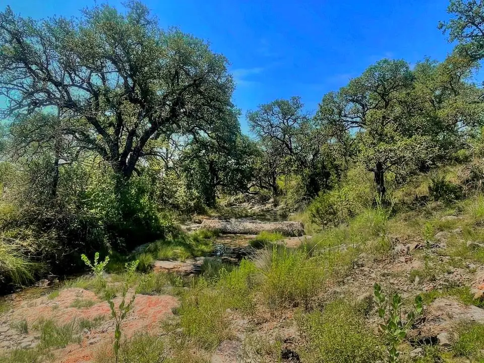 Lot 8 Legacy Ridge, Burnet, TX 78611 - #1