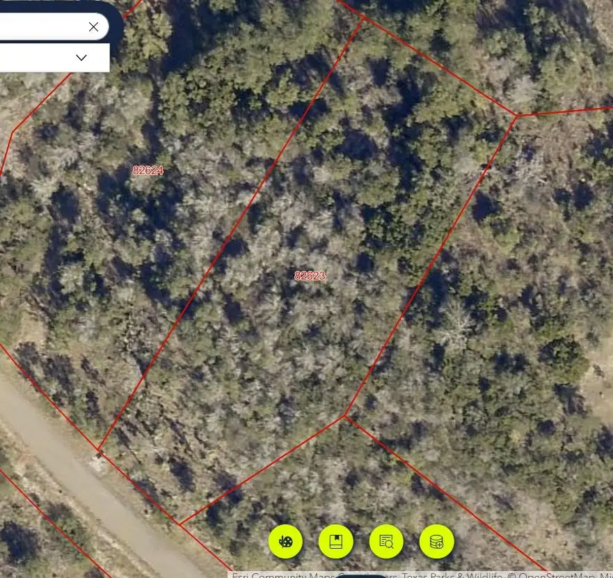 64 War Bonnet Rdg, Kingsland, TX 78639 - #1