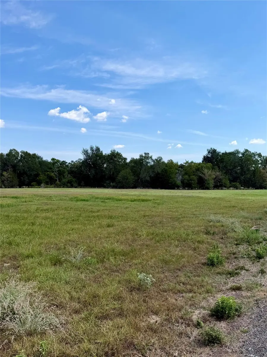 TBD Richmond Street, McDade, TX 78650 - #3