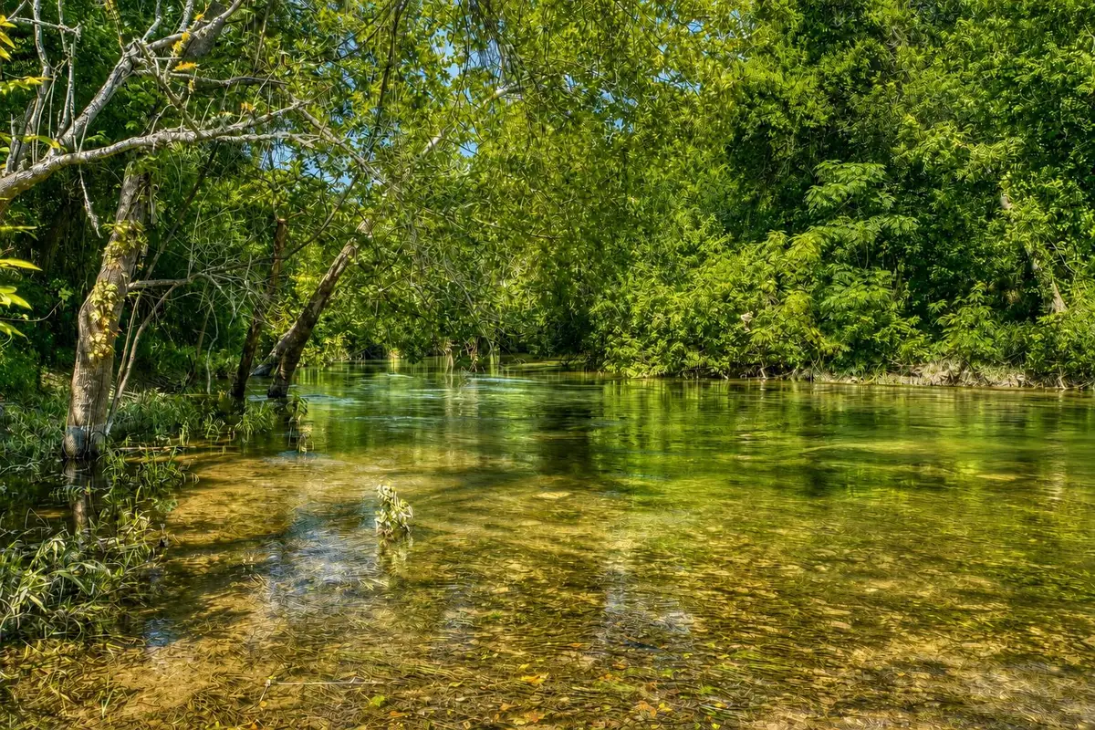 1498 Elmer King Rd, Belton, TX 76513 - #1