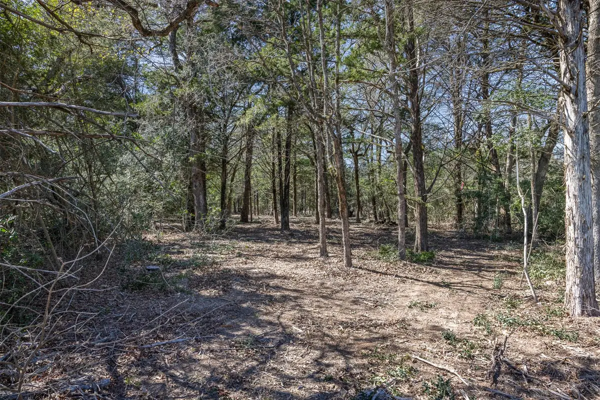 4.81 AC Pauline Ln, Caldwell, TX 77836 - #1